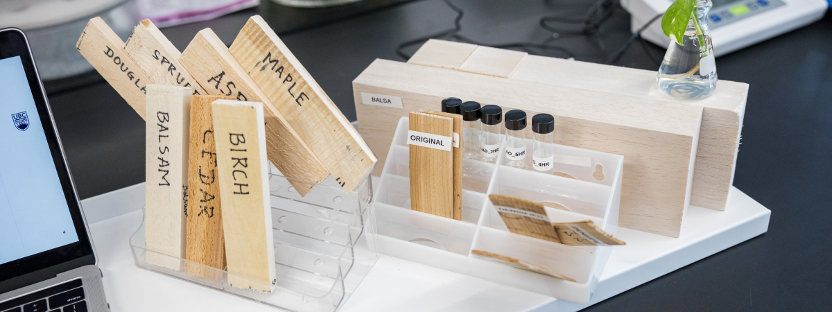 A bunch of wood samples