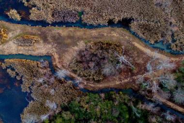 Aerial view of a delta