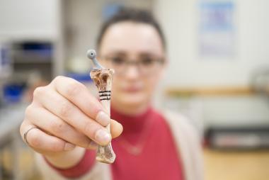 chicken bone implant