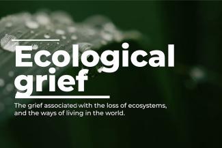 An extreme close-up of a plant leaf with water beads in the background, with white text that defines ecological grief as the grief associated with the loss of ecosystems and the ways of living in the world.