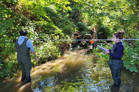 Researchers surveying salmon habitats