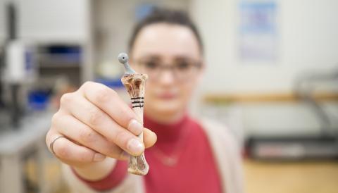 chicken bone implant